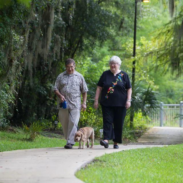 thumbnail for publication: Home and Community-Based Services for Florida’s Seniors: Florida’s Aging Network — National to Local Level